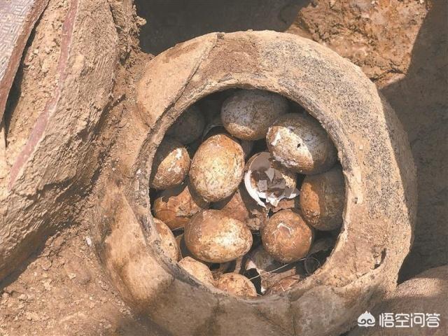 为何考古专家都不敢碰古墓里的鸡蛋strong/p/p
p黄金wan
/strong？