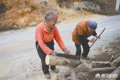 有人专门去农村收购旧木头strong/p/p
p白银什么地方有杨木
/strong，这些旧木头都有什么用途呢？
