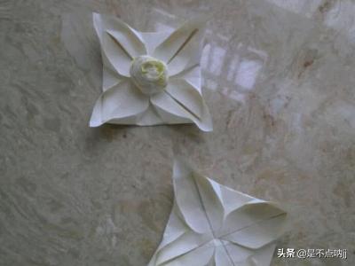 纸巾艺术——白莲花的折法strong/p/p
p怎么折圆的水晶
/strong？